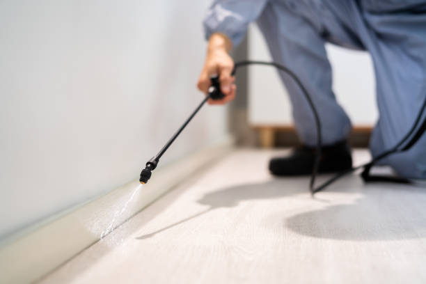 Licensed Pest Control service in Sinton, TX - Show Me Pest Control