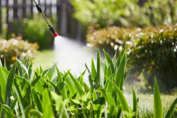 24/7 Emergency Mosquito Control experts in Sinton, TX